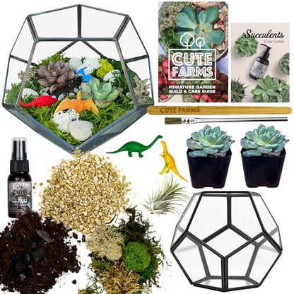 Cute Farms Glass Terrarium Kit | Just Add Your Own Plants (Geometric Glass + Live Plants) - style: Geometric Glass + Live Plants