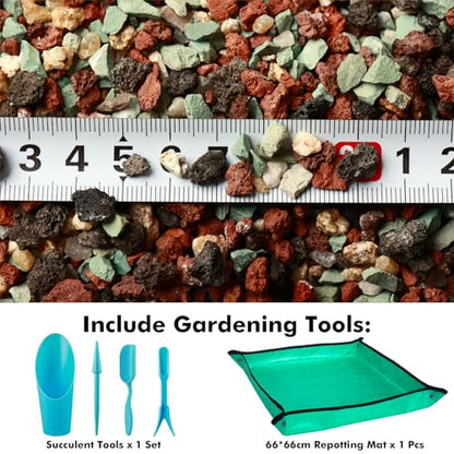 11 Pounds Mix Horticultural Lava Rocks, 3-6 mm Lava Rocks for Plants, Bonsai Rocks Horticultural Grit Soil Cover Gravel for Succulents and Hydroponics, Fairy Gardening, Top Dressing, Plant Drainage - size: 0.15-0.24 inch, style: Mix lava/ 11 pounds