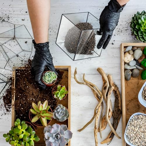 TOPZEA 12 LB Black Lava Rocks Sand for Plants, Potting Soil Decorative Landscaping Gritty Pumice, Crushed Volcanic Stone Gravel for Bonsai Succulent Cactus, Top Dressing, Vase Filler, Fairy Gardening