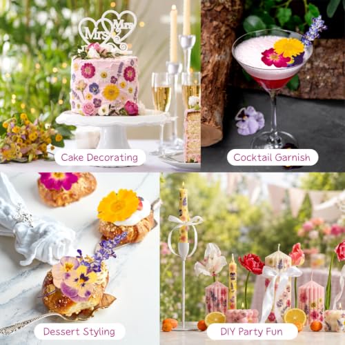 70-Piece Edible Pressed Flowers, 11-Kind Cake Topper and Cocktail Mix | Food-grade Flowers, viola, rose, lavender, sakura, calendula and daisy for cocktails, desserts, garnishes and crafts.