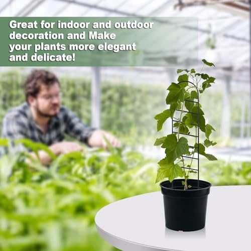 17.5 inch Small Trellis for Potted Plants, Metal Plant Trellis Indoor - color: Ladder-Metal