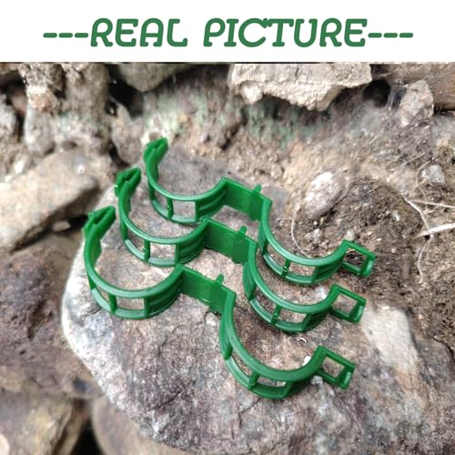 Plant Support Clips - Tomato Clips for String Trellis, 50pcs Grape Vine Clips for Fixing Stem and Vinefor Garden Netting Climbing Plants, Secured Plastic Plant Clip (50, Green) (50)