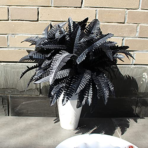 Fern Preserved Black Ferns, Dried Boston Fern with Stems,Real Leaves for Dried Flowers Arrangements Wedding Garland Bouquets Home Party Decorations