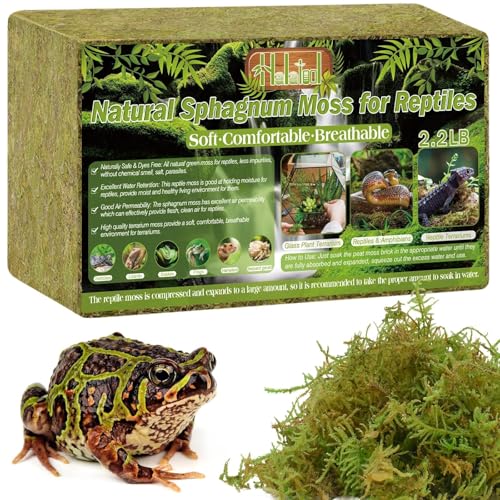 Halatool 2.2 LB Sphagnum Moss for Reptiles - Green Terrarium Moss - size: 2.2LB