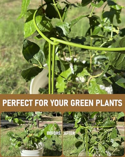 10-Pack Plant Support Stakes, Heavy Duty Steel Plant Stakes as Monstera Plant Support & Peony Cages, Metal Garden Stakes for Indoor Outdoor Plants, Snake Plant & Vine Support, 10" W x 15.8" H