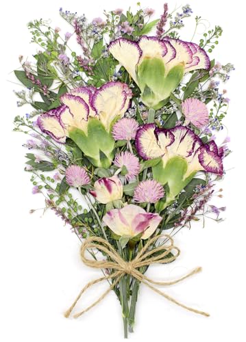 10+ Types Dried Pressed Flowers for Crafts, Purple Real Roses and Carnations Bouquet for Mothers Day Card, Cake Topper, Fame Decors, Scrapbooking Supplies(Mauve) - color: Mauve