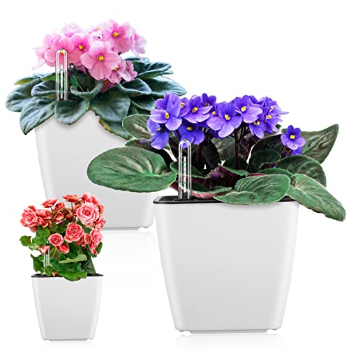 Self Watering Planters for Indoor Plants : 5 inch 3 Pack White African Violet Self Watering Flower and Herb pots - color: White 5 Inch Self Watering Planter Pack of 3