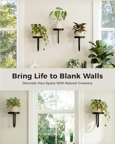 Bamworld Wall Plant Holder for Hanging Planters, Black, 3pcs