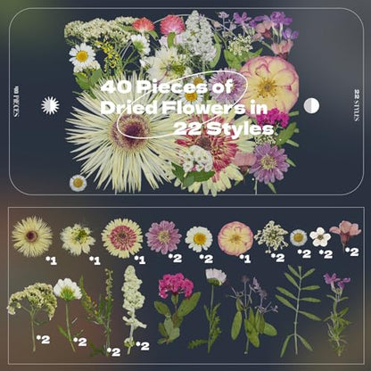 White Dried Pressed Flowers, 40Pcs Real Nature Flowers Set with Tweezers | Pressed Flowers for Resin DIY Jewelry Candle Soap Vase Making Nail Card Scrapbook Art Craft Floral Decor - size: 40 pcs White+Mixed Dried Flowers