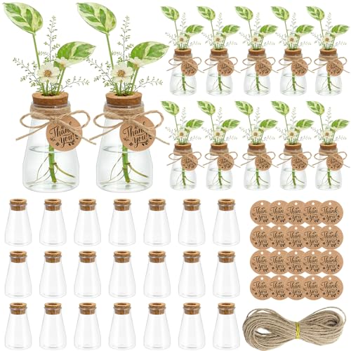 30PCS Plant Propagation Stations 3.35'' Plastic Propagation Jars Clear Vase - size: 30 Pack