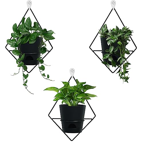Koalaime 3 Sets Wall Planters for Indoor Plants Geometric Hanging Planters for Indoor Plants - Self-Watering Flower Pots with Black Metal Holder, Mounted Succulent Planter, 5" Black Plant Pot - color: Black