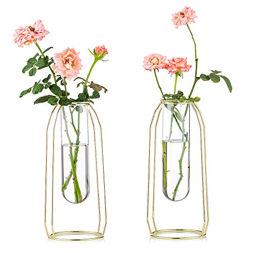 2 Pcs Flower Vases with Iron Art Frame 23.5cm Height, Geometric Plant Pot, Centerpiece Plant Vase, Plants Tabletop Display Holder for Wedding Indoor Table Office Living Room Decor, Gold - color: Gold, size: L+L