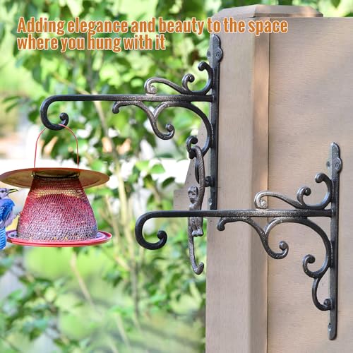 Sungmor Cast Iron Wall Hook Plant Hangers - 2PC Black - color: Black - 2pcs & 11.4 inch