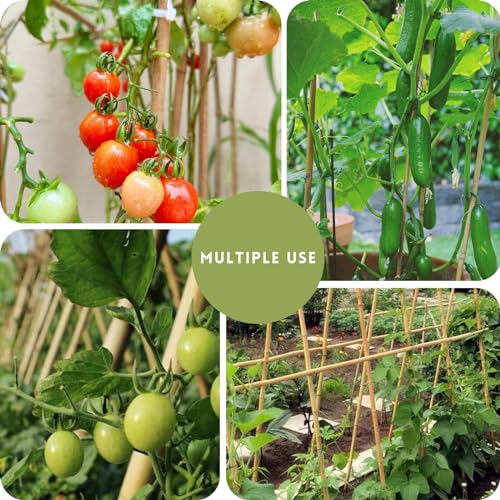[32 Pcs] Garden Stakes, 18 Inches Natural Bamboo Plant Stakes, Plant Support Stakes with Twist Ties, Bamboo Sticks for Tomatoes, Beans, Flowers, Potted Plants, Indoor and Outdoor Climbing Plants - size: 1.5 Ft, 32 Pack