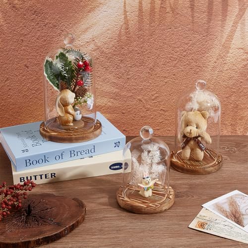 3 Pcs Cloche Glass Dome with Wood Base, 3 Sizes 4.7/3.9/3.5" Diameter, Decorative Clear Bell Jar Display with Handle for Cake, Plant, Wedding Party, Antique Collectibles