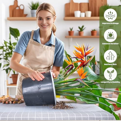 Organic Bird of Paradise Potting Soil Mix 2qt, Ideal for Indoor/Outdoor Potted Plants, Promotes Optimal Growth for Bird of Paradise - size: 2qt