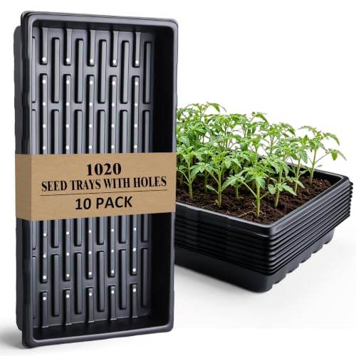 10-Pack Heavy-Duty 1020 Seed Trays with Drain Holes, Reusable Plant Flats - size: 10-Pack With-Hole 1020 Trays
