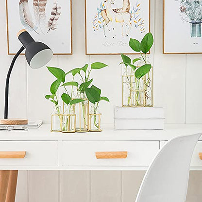 Flower Vases with 6 Bottle Crystal Clear Glass Flower Vase with Metal Stand Propagation Station Plant Display Holder Set for Home or Wedding Décor
