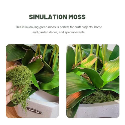 Fake Green Moss for Plants Indoor, Fake Moss for Crafts Preserved (30g) - color: 30g