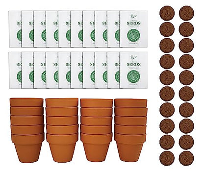 BUZZY Seeds Lavender Grow Kit 20-Pack, Mini Terracotta Pots, Bulk Favors - color: Multicolor