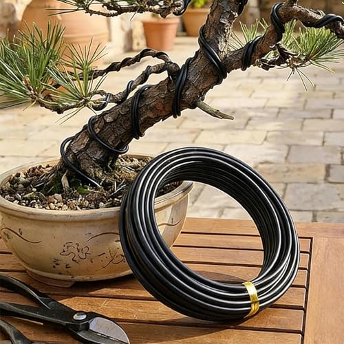 1 Roll 5M Aluminum Bonsai Training Wire Tree Total Anodized Training for Holding Branches Small Trunk for Bonsai Artists & Beginners (1mm) - color: 1mm