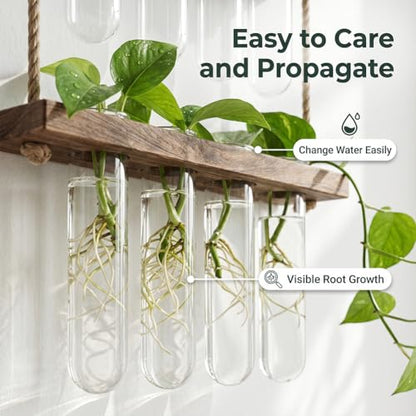 1-Piece Wall Hanging Planter, 2 Tier Glass Test Tube Vase with Wooden Stand for Hydroponic Plant Propagation
