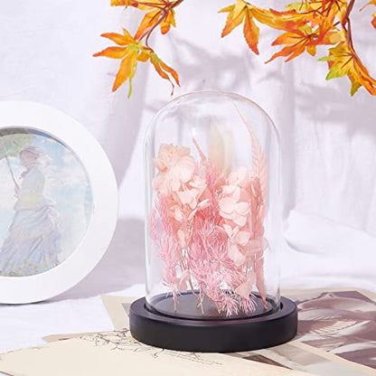 NBEADS Eternal Flower Glass Display Dome Cloche, Glass Display with Wood Pedestal Bell Jar Cloche for Valentine's Day Mother's Day Flower Decorations Crafts, Black Base