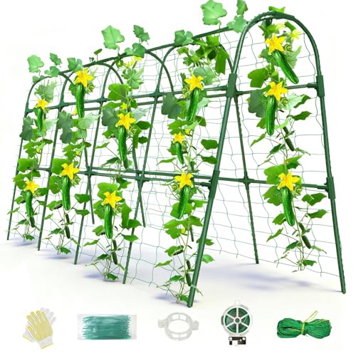 Cucumber Trellis for Raised Bed, U-Shape Garden Arch Metal Support for Climbing Plants, Metal Arch Plant Support Vegetables Trellis, Plant Support for Vine(Green, 63 * 30 * 47inch(L*W*H)) - color: Green, size: 63*30*47inch