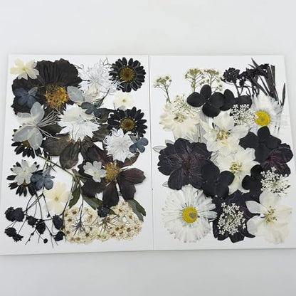Cayway 2 Pack Pressed Flowers Natural Dried Flowers Black Resin Flowers Real Pressed Flowers with Butterfly Sticker for Resin Scrapbook DIY Art Crafts, Epoxy Resin Jewelry Supplies, Style D - color: Black White Style D