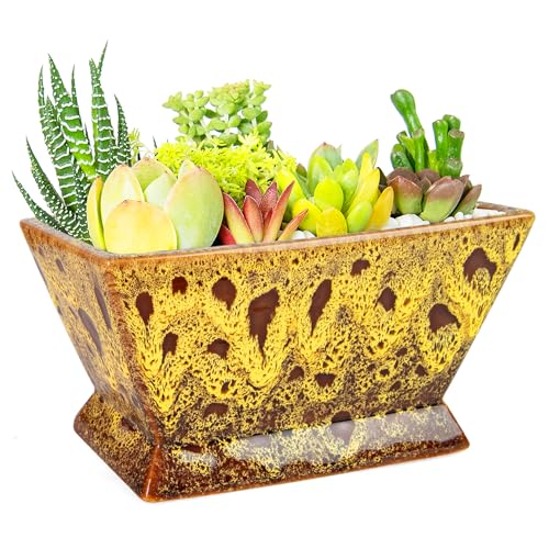 Succulent Pots - 7 Inch Large Plant Pot with Drainage, Shallow Bonsai Pots - color: Yellow