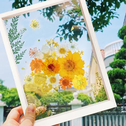 Cayway 2 Pack Pressed Flowers Natural Dried Flowers Black Resin Flowers Real Pressed Flowers with Butterfly Sticker for Resin Scrapbook DIY Art Crafts, Epoxy Resin Jewelry Supplies, Style D - color: Black White Style D