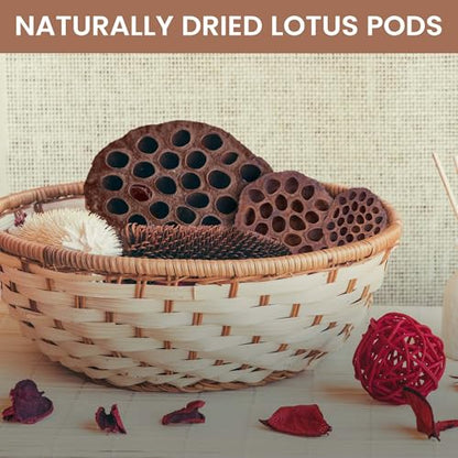 Dried Lotus Pods Pack of 25 Pods for Floral Arrangement and Home Decor,Natural Seed Heads for Vase Fillers, Dried Flower Centerpieces