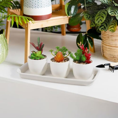 Yardwe 5 Pack Rectangular Plant Tray, Reusable Catch Excess Water for Pots