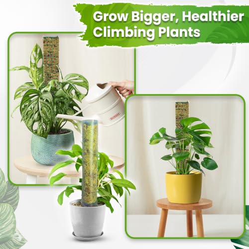 2 Pack 16.5" D-Shaped Plastic Stackable Moss Poles | Extendable Up to 30", Pre-Made & Easy To Set Up, Moss Pole for Climbing Plants Monstera, Handmade Moss Stick for Indoor Plant - color: Plastic D shaped