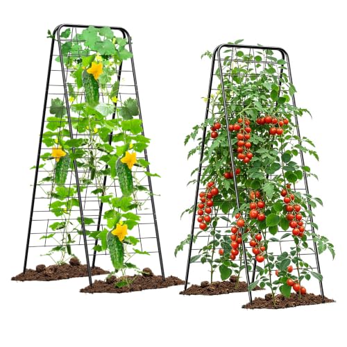Heavy Duty Cucumber Trellis, 50" x 17" A-Frame Garden Trellis (2 Pcs) - size: 2 Pcs