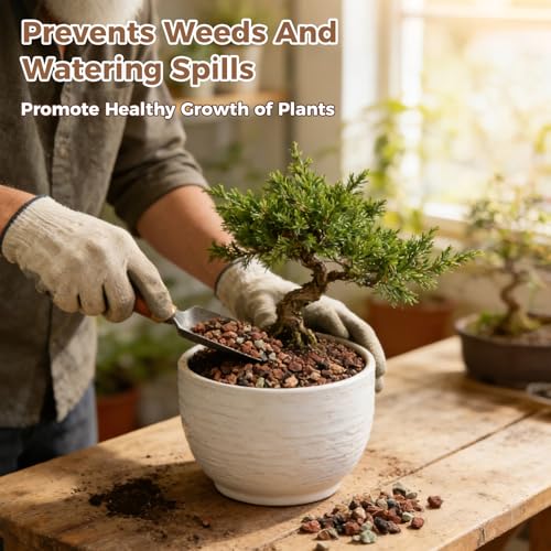 18lb Mix Lava Rocks for Plants 1/4" Horticultural Pumice for Plants, Succulent Cactus Soil Potting Mix - Horticultural Sand Aquarium Gravel Drainage Rocks for Potted Plant, Bonsai Soil, Top Dressing - size: 1/4 Inch