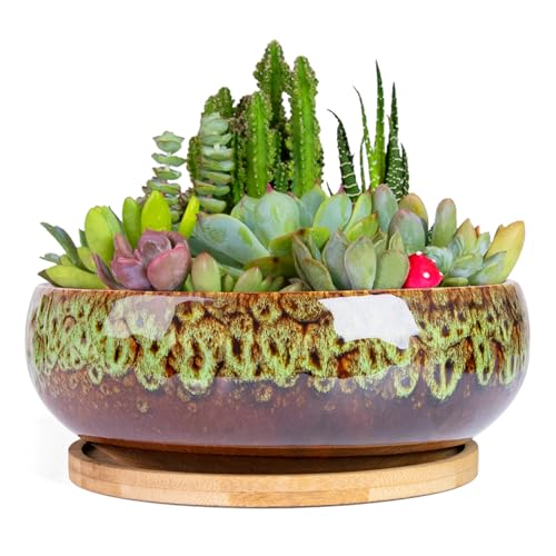 Succulent Pots, 7.5 Inch Ceramic Bonsai Pots with Drainage Bamboo Tray - color: Green