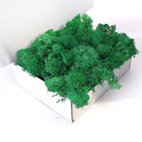 Preserved Moss - 3.5 Oz Faux Moss For Crafts, Natural Green Decor For Art, Wall, Florist (Turquoise) - color: TURQUOISE, size: 3.5OZ