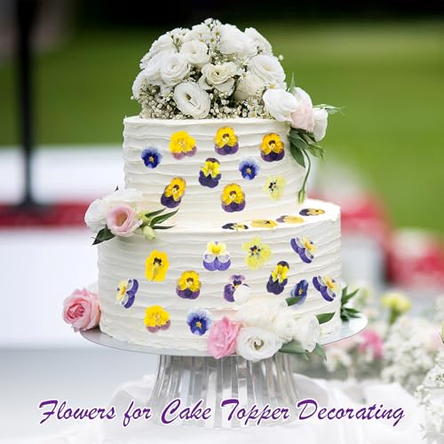 96 Pcs Pressed Edible Flowers, Purple, Flower Style | Natural Dried Flowers for Cake Topper Cupcake, Cocktails Garnish, Resin Jewelry DIY, Soap, Candle Making Art Crafts - color: Purple, style: Flower Style