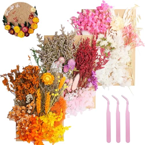 3 Pack Real Dried Flowers for Resin, Natural Pressed Flowers | Natural mixed dried flower pack with tweezers for DIY resin,crafts & candles(Multicolor Orange White). - color: Multicolor Orange White