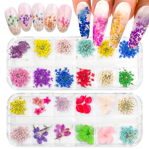 2 Boxes Dried Flowers for Nails Mini Real Nail Flowers 3D Dried Flowers Nail Stickers Nail Decor Manicure Design Flower Decorations for Makeup DIY Craft Accessories - color: Dried Flowers/2 Boxes
