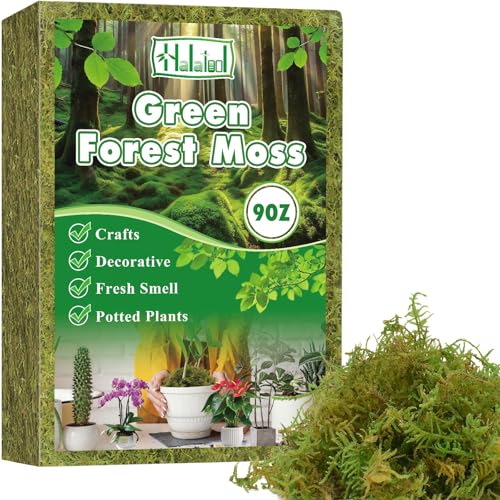 Halatool 9OZ Green Moss for Indroor Plants, 8QT Orchid Moss for Repotting - size: 9 oz