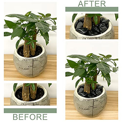 FANTIAN 2 lbs Black Pebbles for Plants, 0.8-1.2 Inch Small Bag Stones | Decorative Black River Rocks for Plants, Landscaping, Aquarium, Vase Fillers, Garden, Planter Filler for Artificial Plants - size: 0.8-1.2 inch, style: 2.0 Pounds