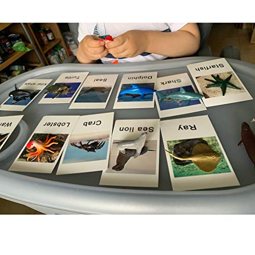 MEROCO Ocean Animals Montessori Matching Game Toys Kids Preschool | Sea Life Flash Cards Matching Game Toddlers Classroom Learning Plastic Figurines 3-5 - style: Marine Animal