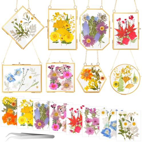 Barydat 8 Set Glass Pressed Flower Frames Gifts for Craft Home Decor,Gold - color: Gold