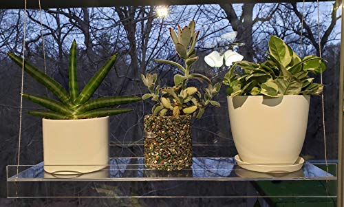Hanging Acrylic Shelves for Windows (16" Wide, 2 Shelves - 35" Tall) - size: 2 Shelves - 35" Tall, style: 16 Inches Wide