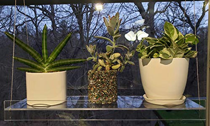 Hanging Acrylic Shelves for Windows (16" Wide, 2 Shelves - 35" Tall) - size: 2 Shelves - 35" Tall, style: 16 Inches Wide