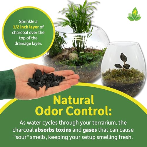 Sprig & Stone Horticultural Charcoal (4 Quarts) - size: 4 Quart