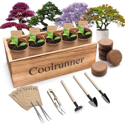 Coolrunner Wooden Bonsai Tree Starter Kit, Bonsai Tree Kit, | Mini Bonsai Plant Growing Kit, Soil Discs, Jute Bags, Plant Markers & Gardening Tools, No Seeds