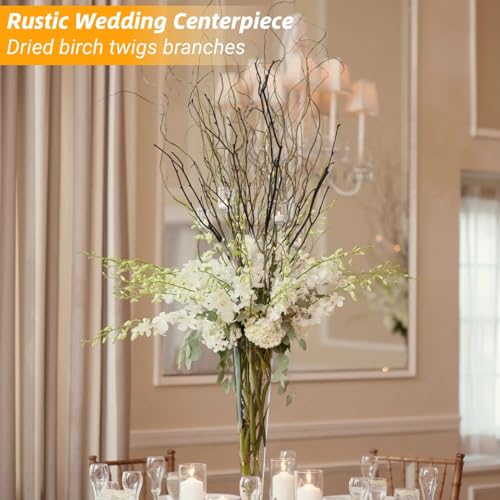 60Pcs Real Dried Birch Twigs Branches 16 Natural Decorative Birch Branches - size: 60